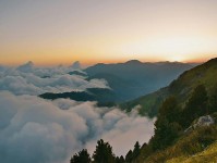 推特三分钟走读：先看传播链是不是断了，再把引用补完整（像做复句校对）