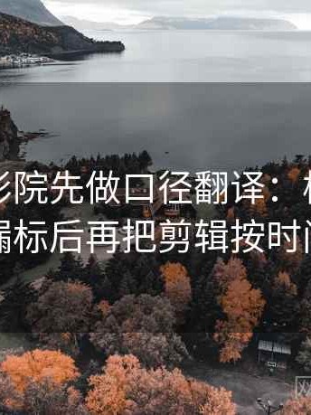 读蜂鸟影院先做口径翻译：核对单位是不是漏标后再把剪辑按时间线重排